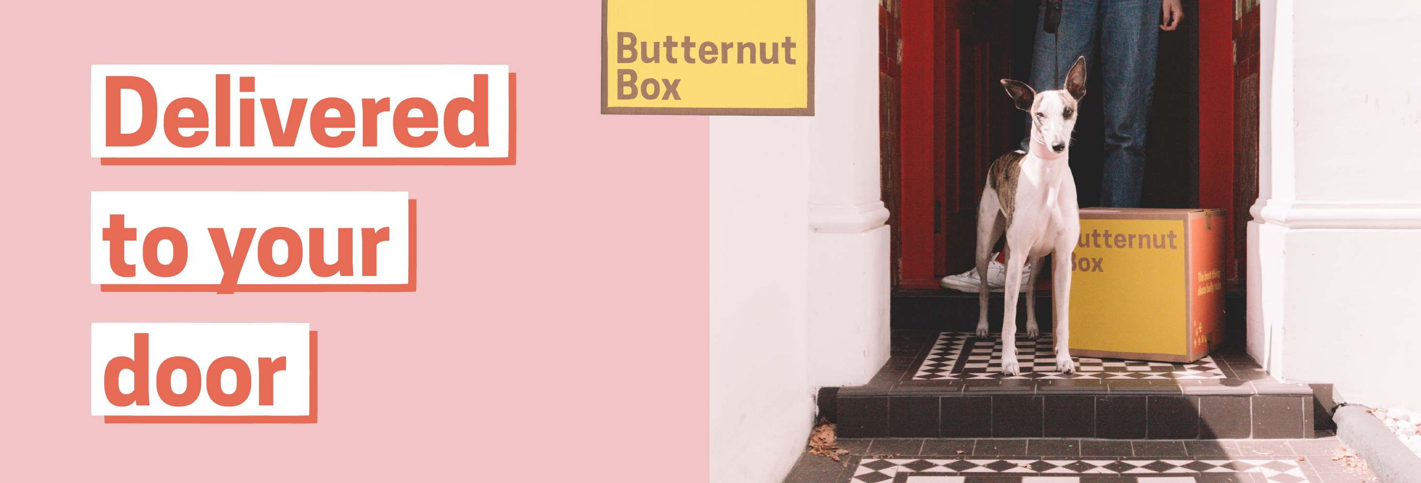 Head of people at Butternut Box
