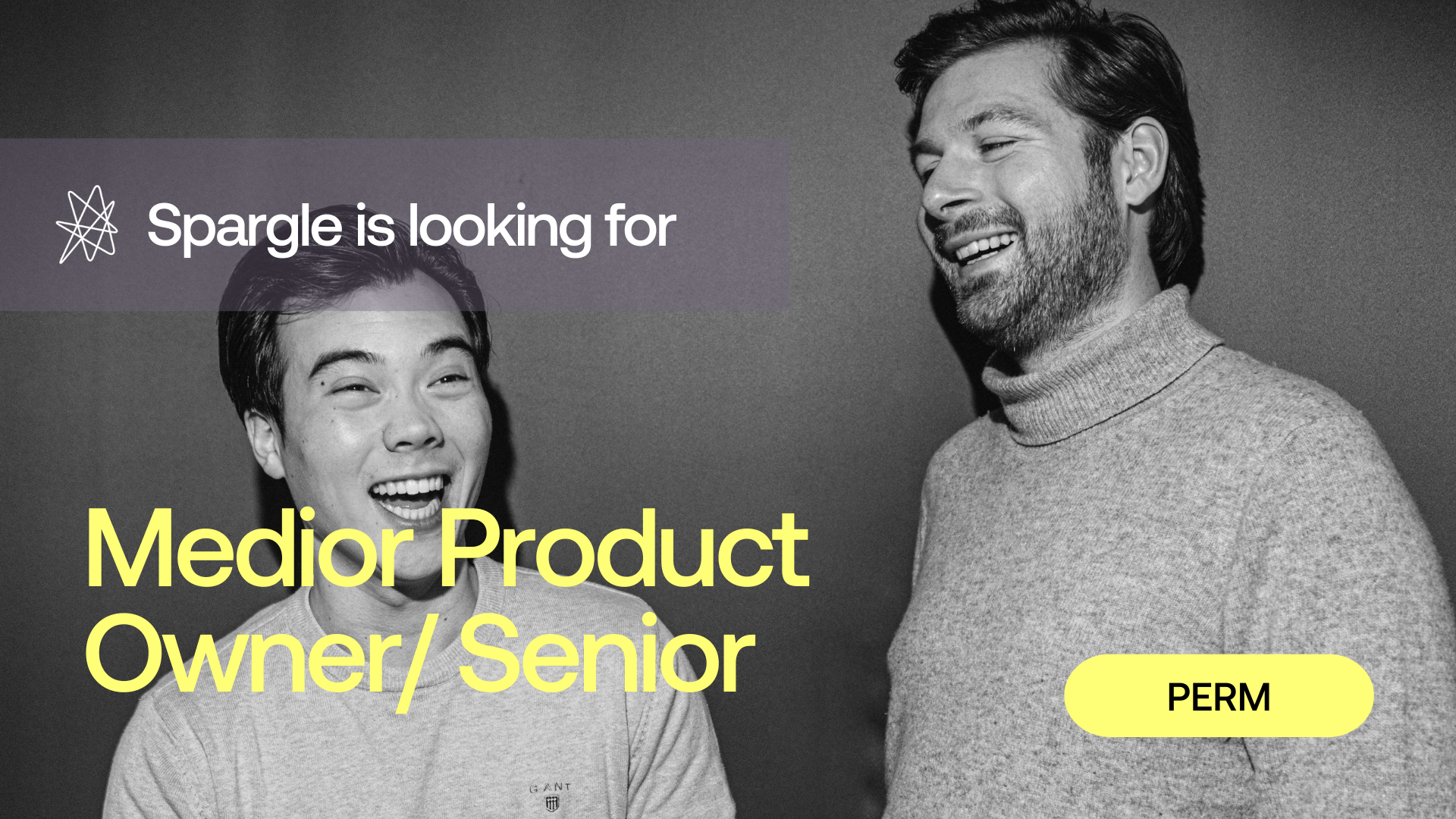 Medior Product Owner/ Senior (E-commerce)